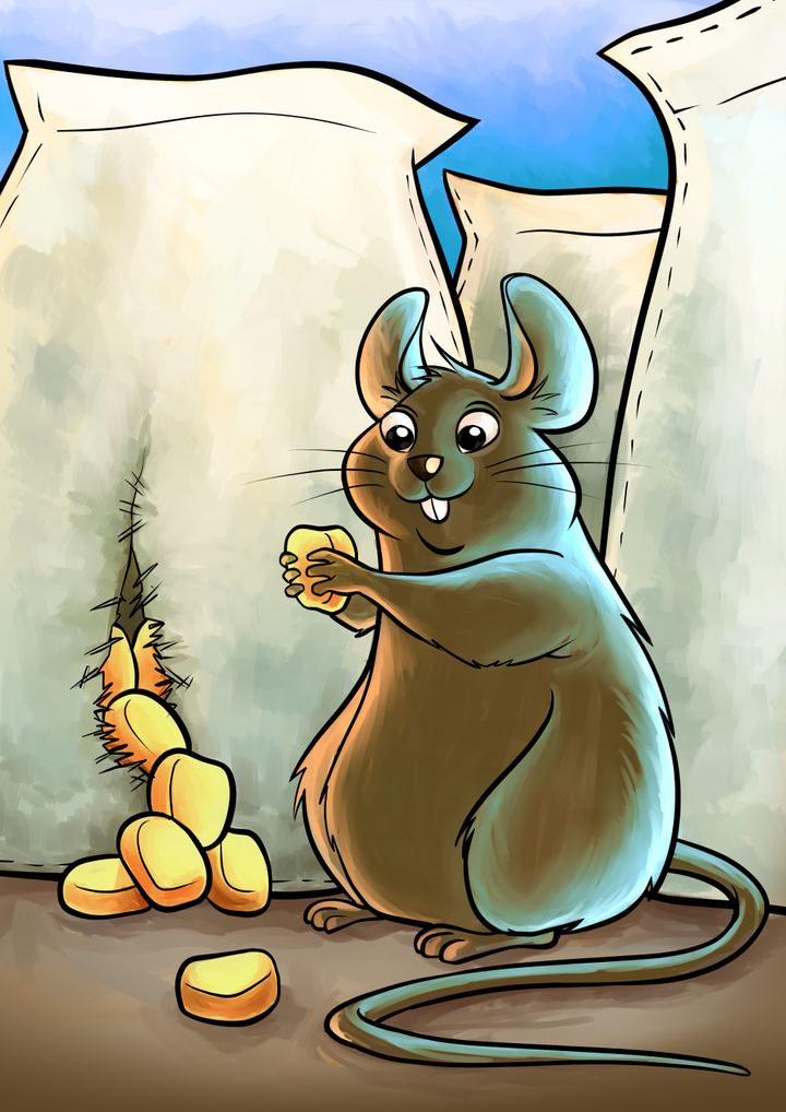 Interior illustration (Éditions Orphie)
