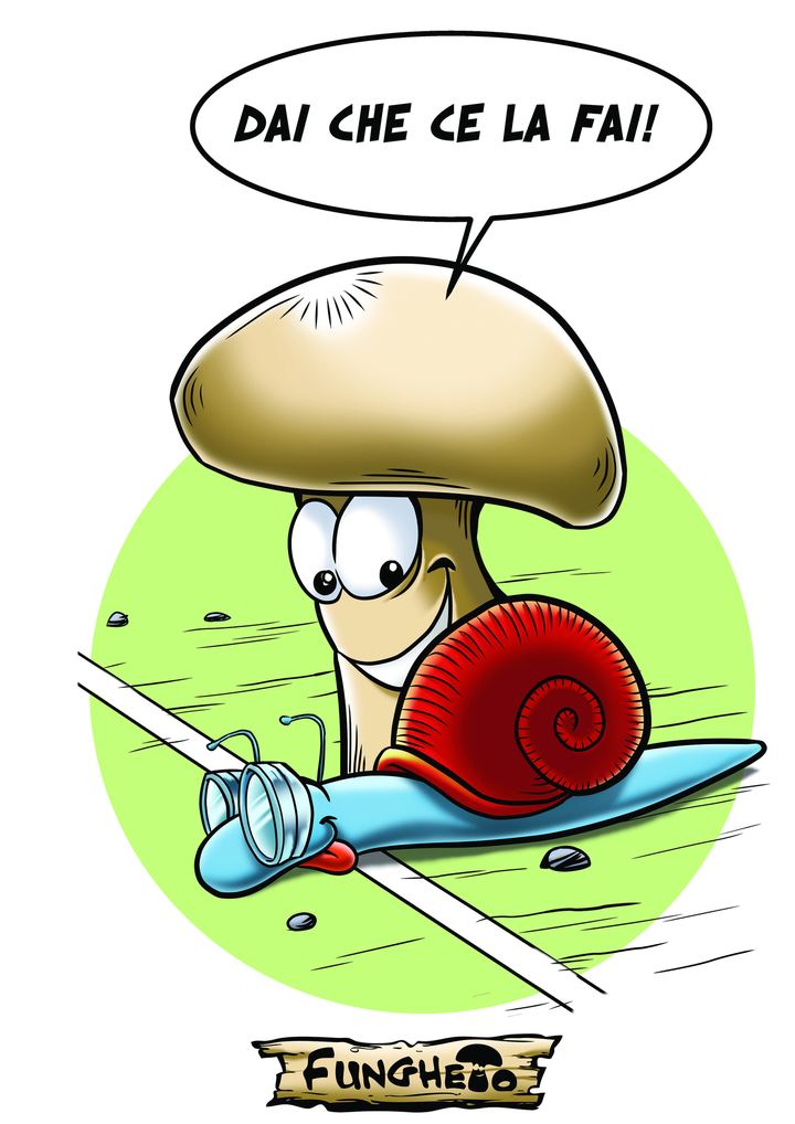 Funghetto, character design (Edizioni La Fionda)