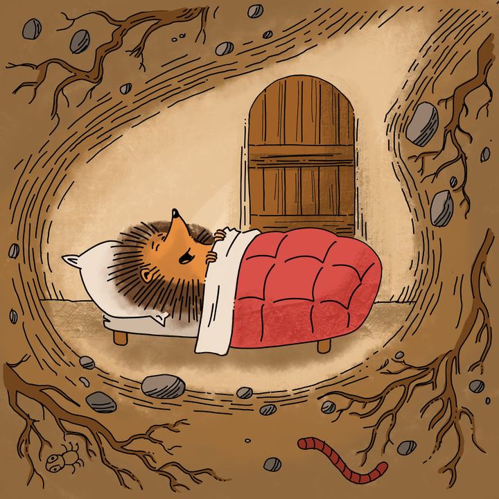 Sleepy hedgehog