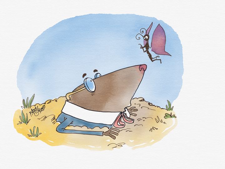 The mole