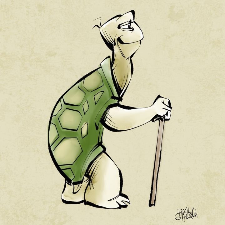Old turtle