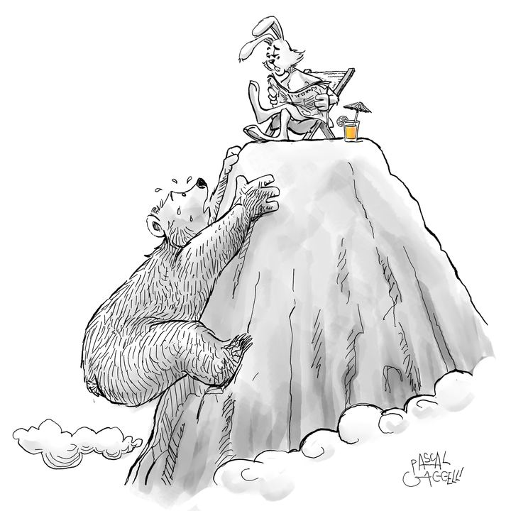 The summit