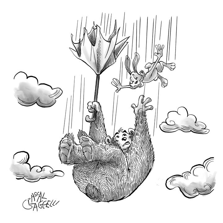 Umbrella