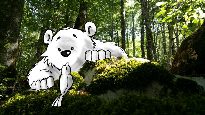 Forest bear
