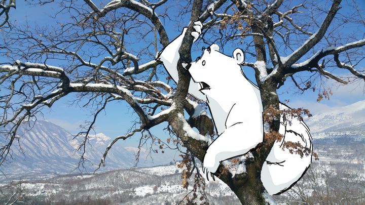 Up the tree