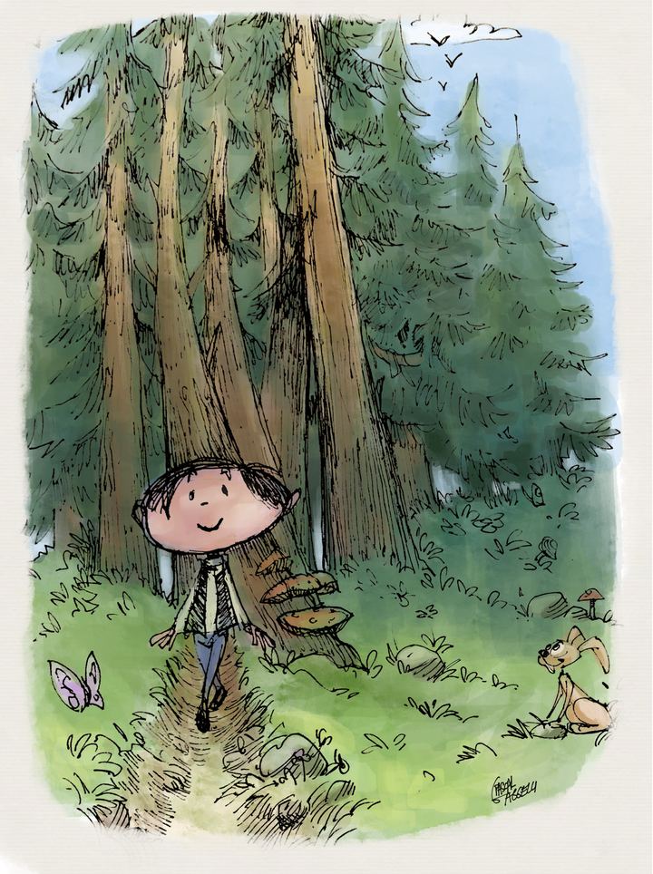 Into the woods (colour)