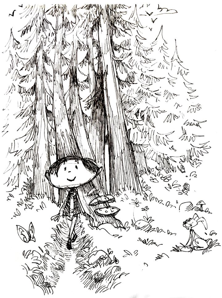 Sketchbook